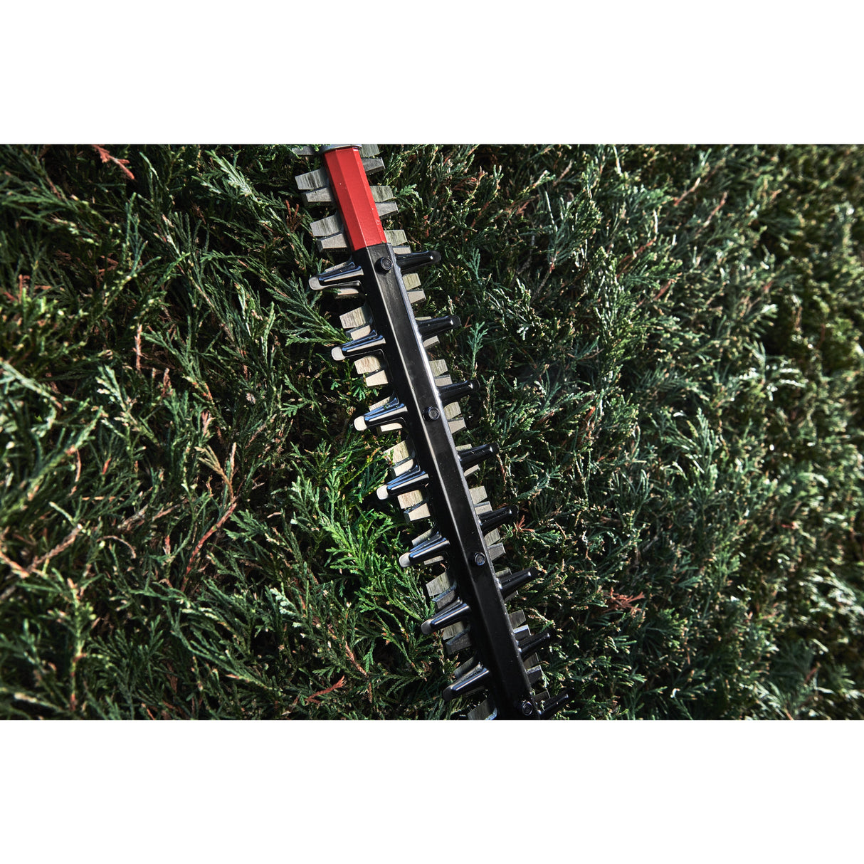 M18 FHET60 Trimmer pentru gard viu 60 cm M18 FUEL™ Milwaukee