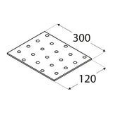 PP21 - Placă perforată 300x120x2,0 mm