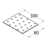 PP11 - Placă perforată 300x80x2,0 mm