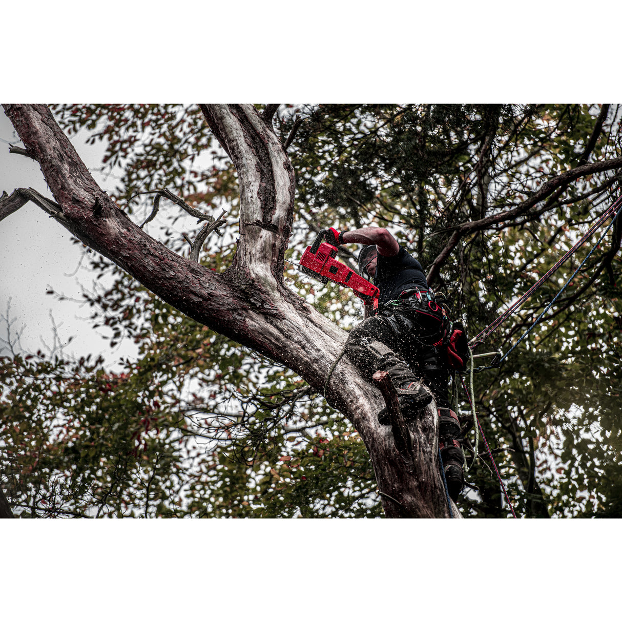 Milwaukee M18fchs-121 fierăstrău cu lanț 40cm   4933464223