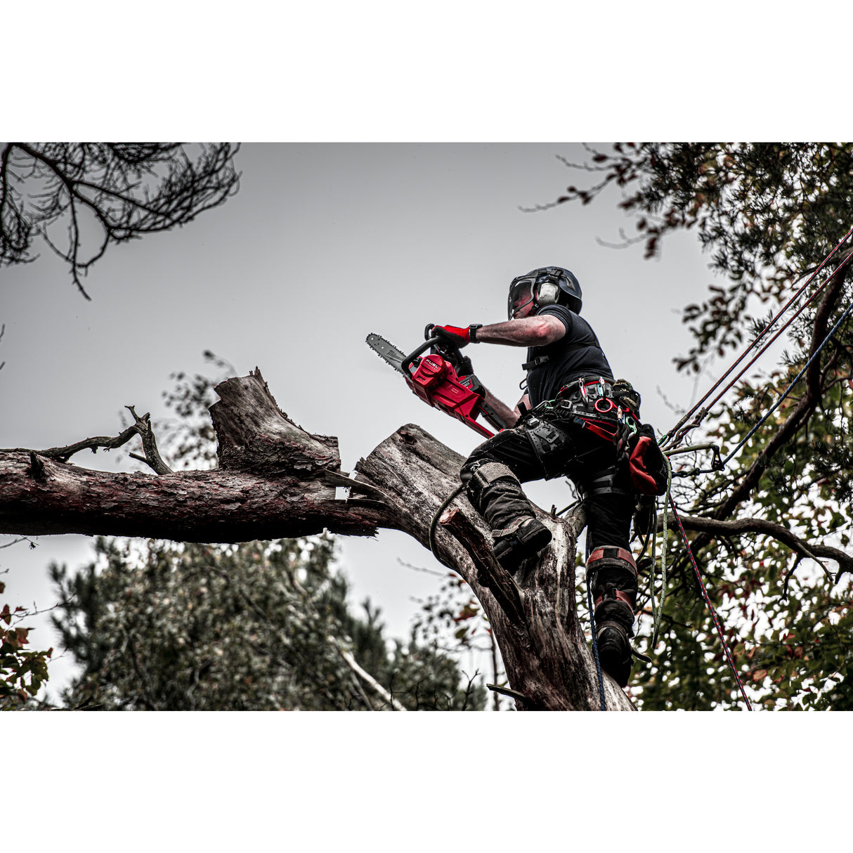 Milwaukee M18fchs-121 fierăstrău cu lanț 40cm   4933464223