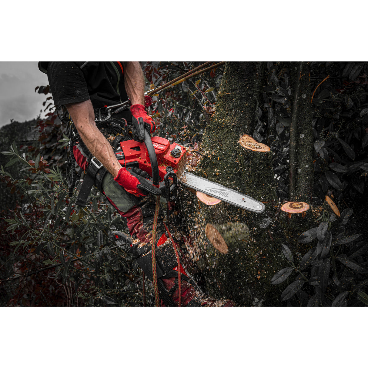 Milwaukee M18fthchs30-802 fierăstrău cu lanț 30 cm cu mâner superior M18 FUEL™ 4933479587