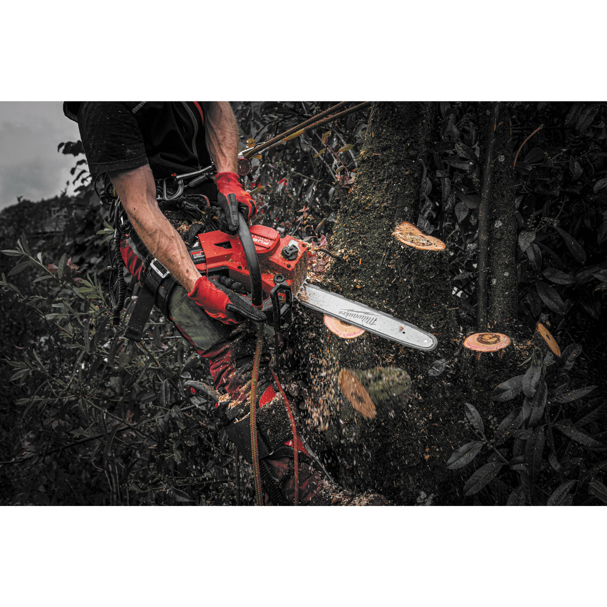 Milwaukee M18fthchs35-802 fierăstrău cu lanț 35 cm cu mâner superior M18 FUEL™ 4933479589
