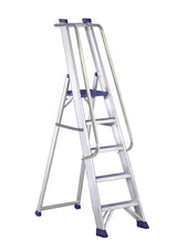 REGINA SPECIAL - SCARA CU PLATFORMA